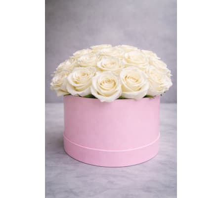 White roses in box