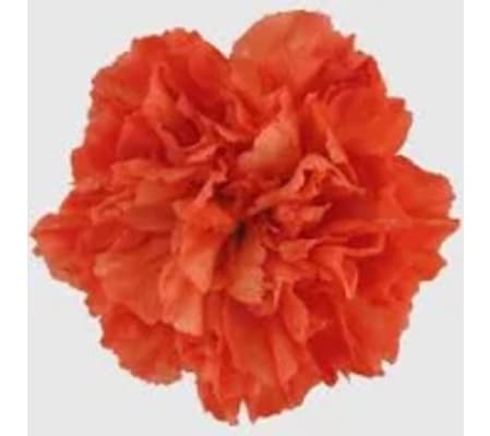 Valentine's Day Candy Basket (With 10