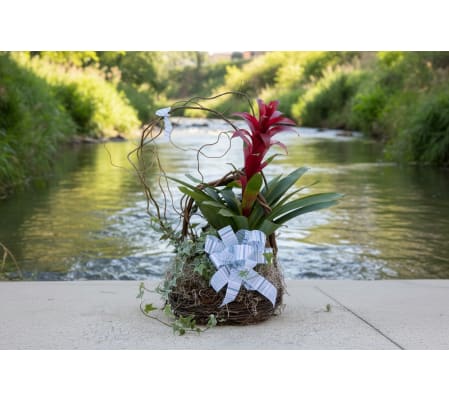 Nesting Memories Basket