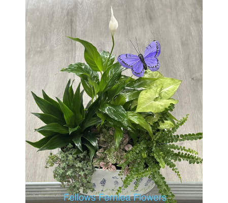Fellows Cottage Windowsill Planter