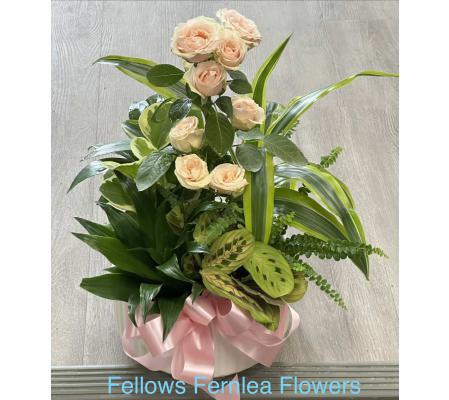 Fellows Cherished Memories Planter