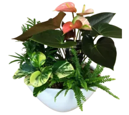 Peaceful Tropical Planter