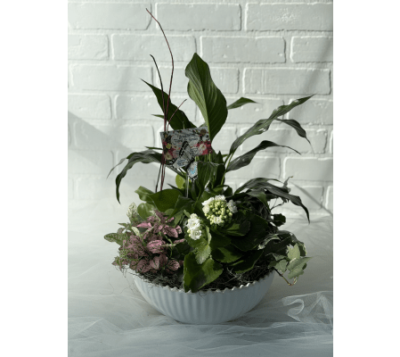 Tropical Planter in Wide White Planter