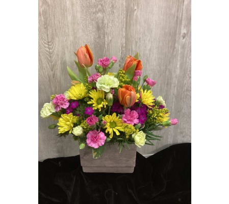 Assorted Spring Designs