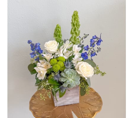 Coastal Hues by The Poppy Studio