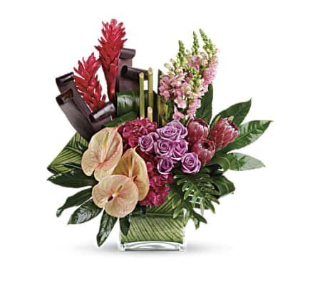 Birth of the tropics