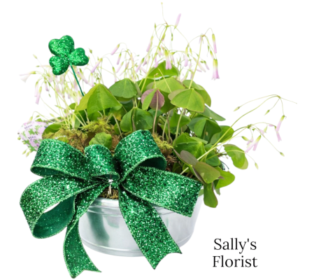 Sally's Lucky Emerald Shamrock