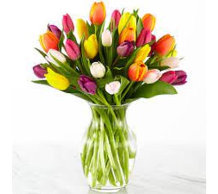 Timeless  Terrific Tulips