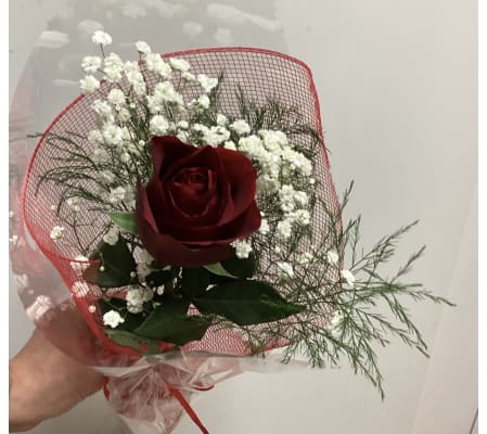 Single Wrapped Red Rose