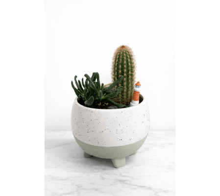 Nautical Cacti Planter