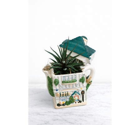 Vintage Teapot & Plant (1 of a kind)