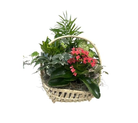 Tropical Mix Basket