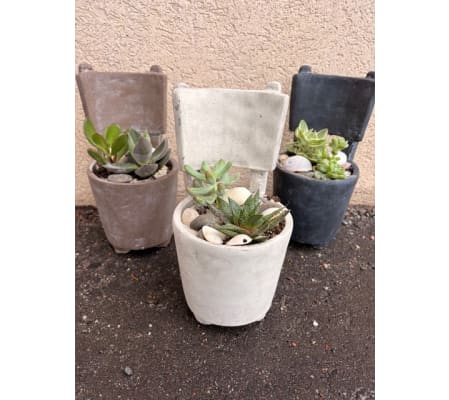 Chair-ished Succulents