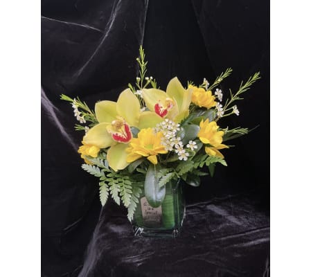 Sister Orchid Arrangement 