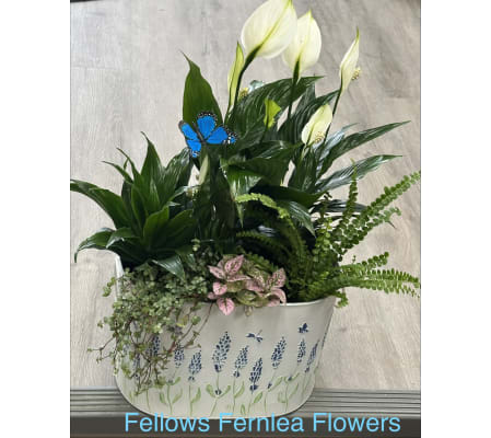 Fellows Cottage Windowsill Planter