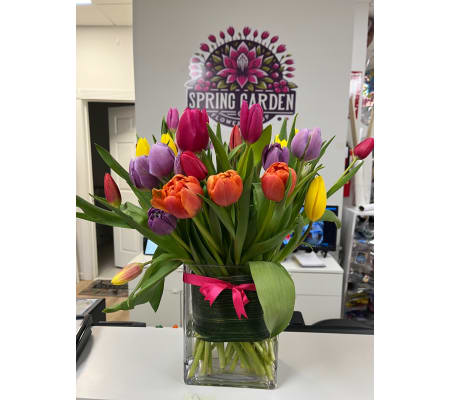 Assorted Tulips