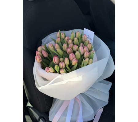 Premium Blush Tulip Arrangement