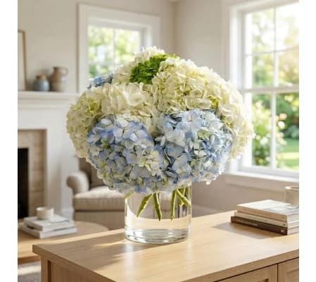 Hydrangea Waltz
