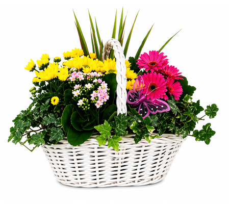 Basket of Blooms Planter