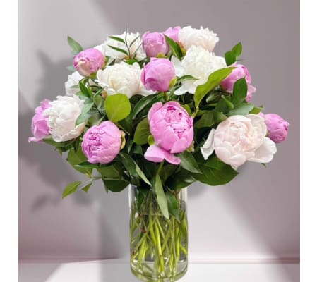 Blushing Luxury Peony Arrangement