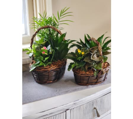 Brown Basket Planter
