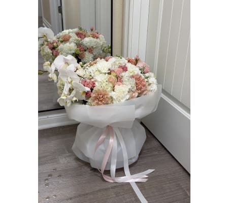 Blush Orchid Garden