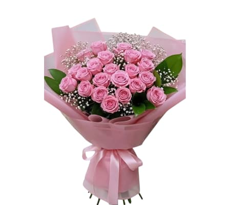 Pretty Pink (Wrapped Pink Roses)