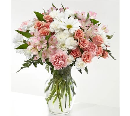 Blush & Bloom Delight