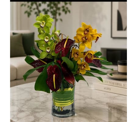 Cymbidium Orchid with Anthurium Modern 