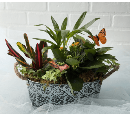 The No-Drama Mama Garden