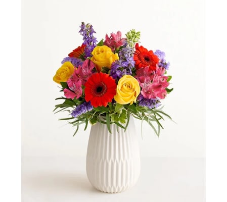 Vibrant Harmony