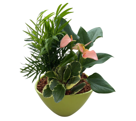 Medium Eileen Lime Green Planter Garden