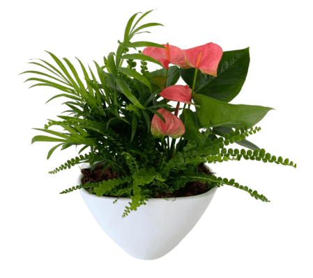 Medium Eileen White Planter Garden