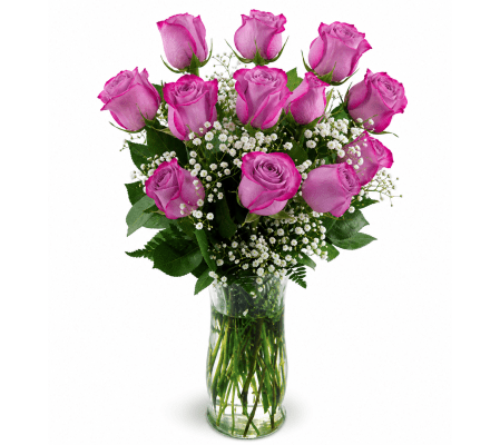 Classic Deep Purple Roses