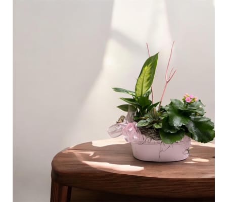 Pretty In Pink Dish Garden