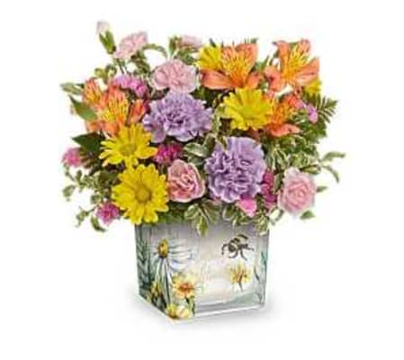 Sunshine & Petal Whispers