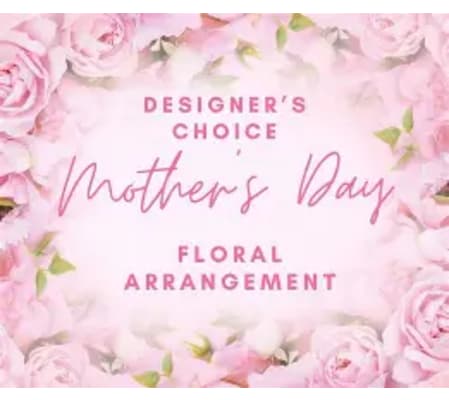 Designer's choice Premium