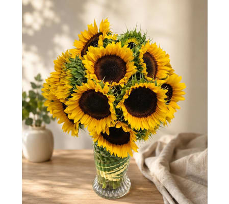 Rise With Sunflowers 