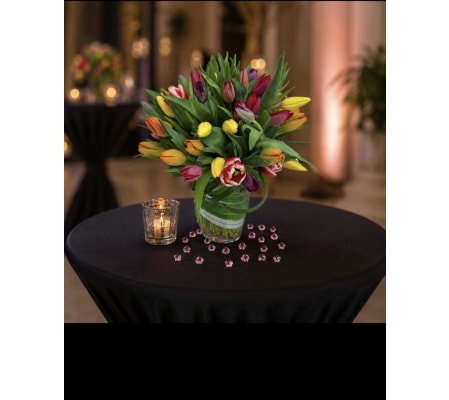 Exclusive Tulips