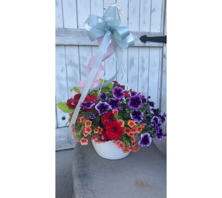 Blooming Hanging Plant  Basket