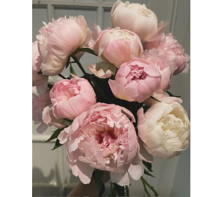 Blush & Ivory Peony Embrace