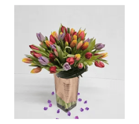 Exclusive Tulips