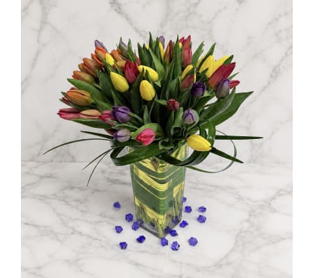 Tulips Glamour