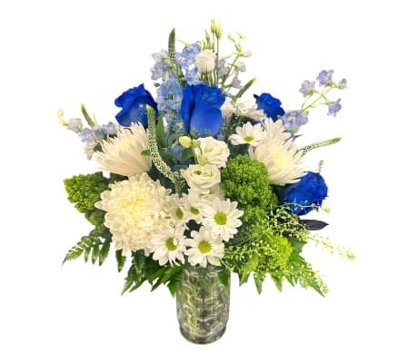 Blue & beautiful 