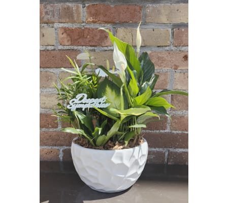 'By Design' Deepest Sympathy Planter