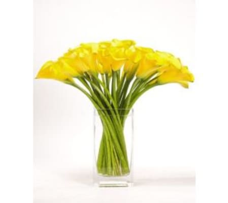 Yellow Simplicity Calla 