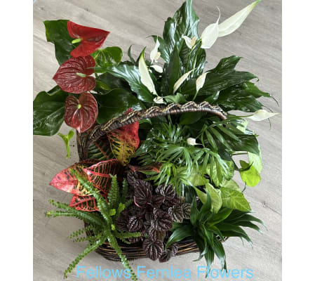 Large Woven Basket Planter