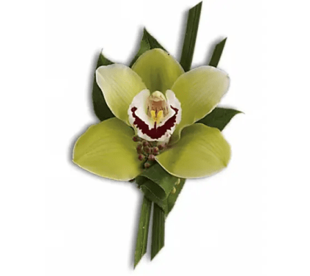 Green Orchid Boutonniere