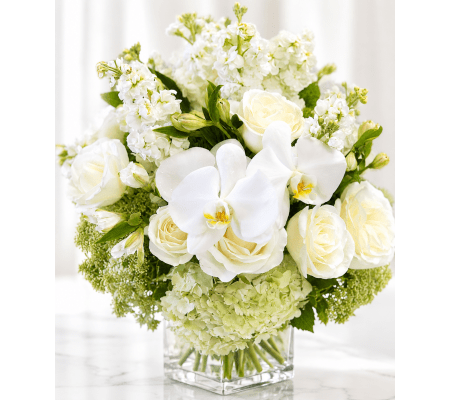 Serene White Symphony