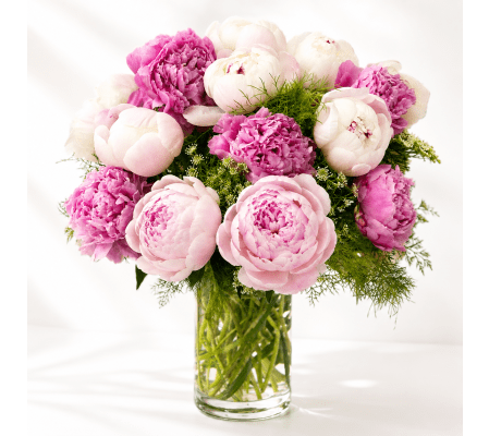 Pink Peony Embrace